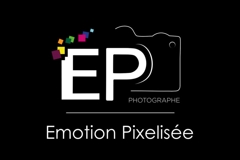 Julien Le Moine emotion pixelisee photographe portrait mariage famille grossesse naissance portrait événement en sarthe